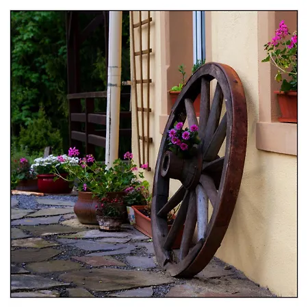 Gemuetliche Schwarzmuehle *